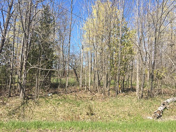 5th image of Shubert Hwy
