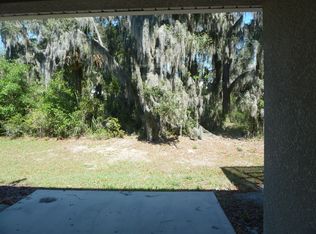 15918 Fishhawk View Dr, Lithia, FL 33547