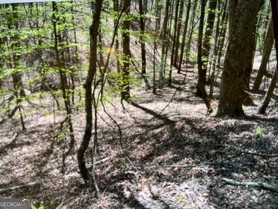 0 Othello Dr #959, Ellijay, GA, 30540