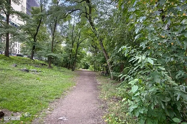 Rented by Corcoran | media 18