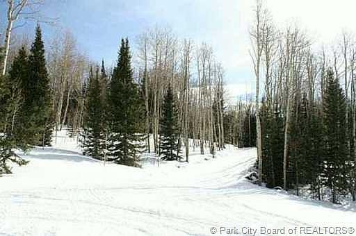 3rd image of 213 White Pine Canyon Rd #213