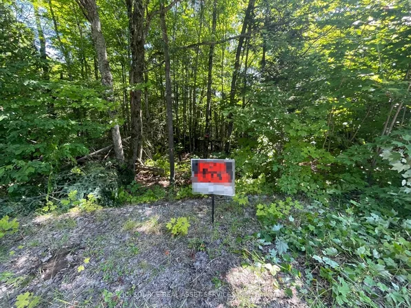 0 Rye Rd #2, Nipissing, ON P0A 1X0