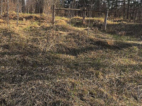 3rd image of 6616 Highway 24 Acres