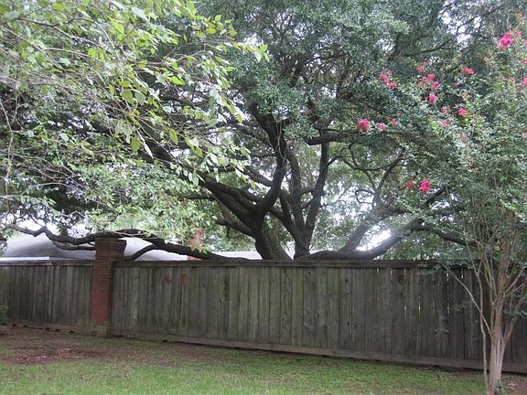 5th image of 405 Gordon Crockett Dr