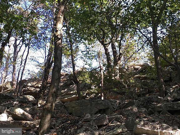 2nd image of 83 Bobcat Trl