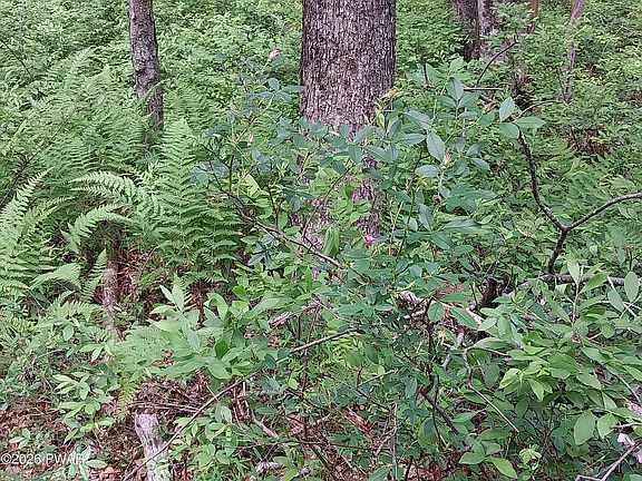 4th image of LOT 10 Whispering Oaks Rd