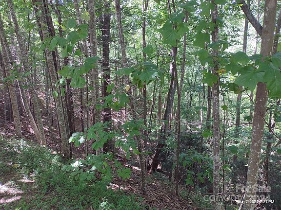 4th image of LOT 2 Wilkerson Ct
