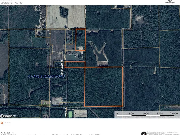 1 Charlie Jones Rd, Grand Cane, LA 71032
