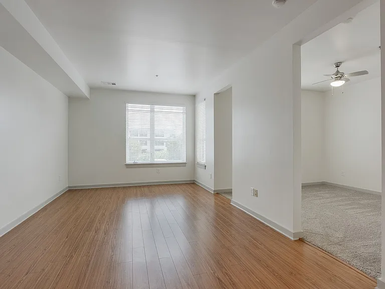 12 South — Photo 14