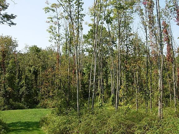 Exclusive 12 Home Community Surrounded in Preserved Land
