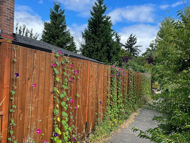 6935 SE Cora St — Photo 39