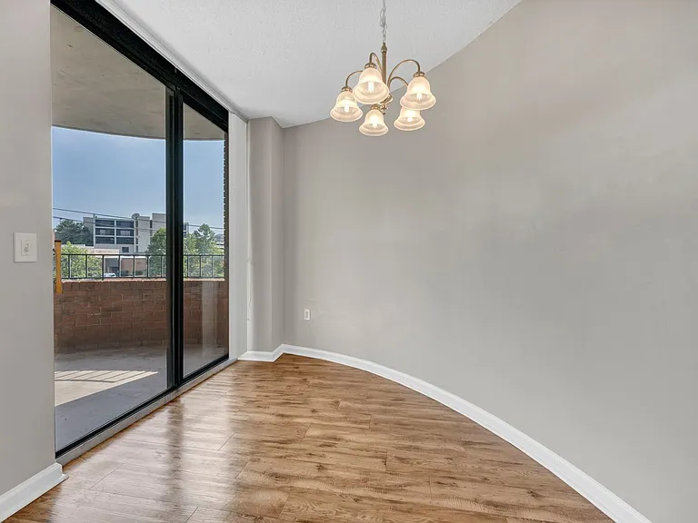 1100 Wheat St #409 — Photo 13