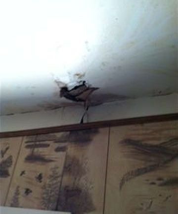 5th image of 406 Filhiol Ave
