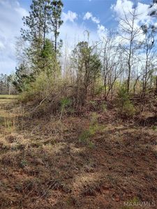 0 W Mill St, Georgiana, AL, 36033