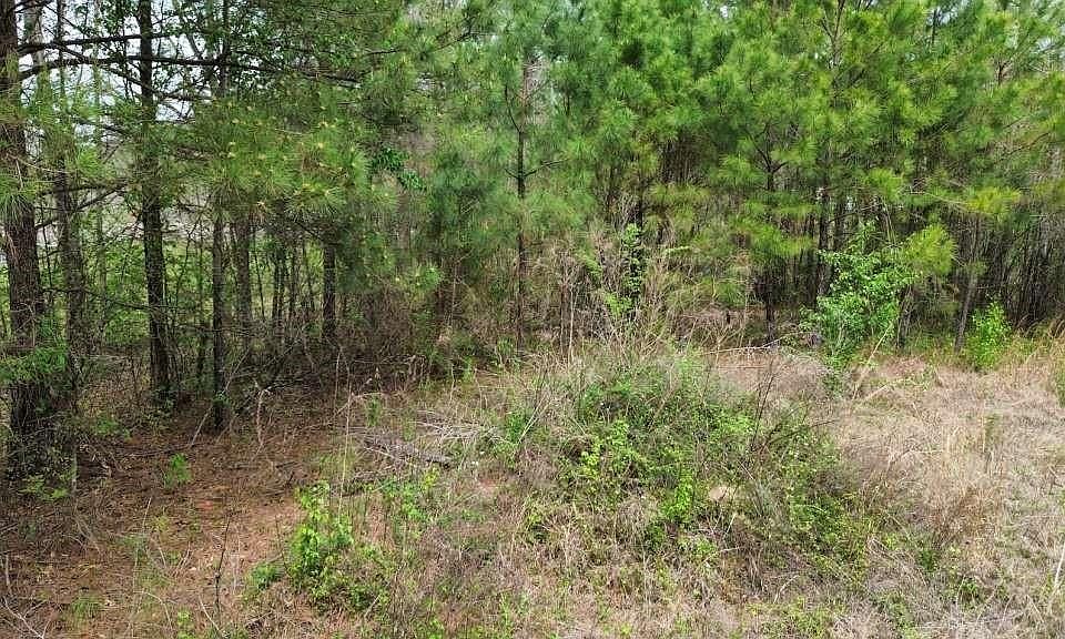 2nd image of 400 County Road 1924
