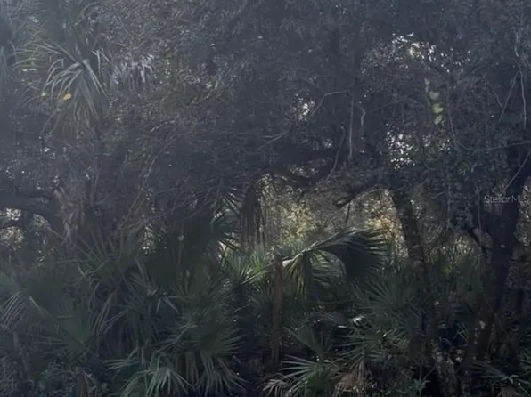 0 Dill Rd Lot 180, Orlando, FL 32820