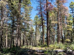 5165 Popp Rd, Fort Garland, CO 81133