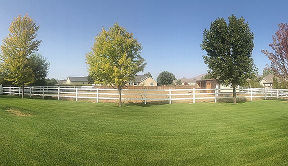 Large backyard with pasture.