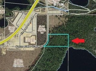 9775 Seidel Rd, Winter Garden, FL 34787