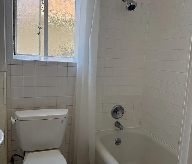 345 Forest Ave #206 — Photo 5