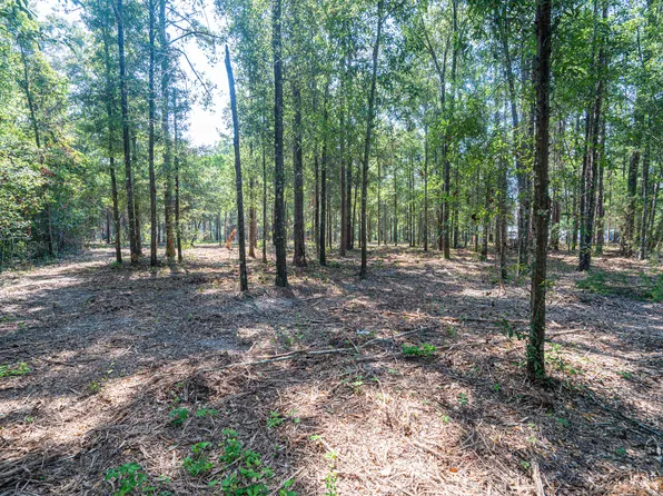 2nd Ave, Laurel Hill, FL 32567