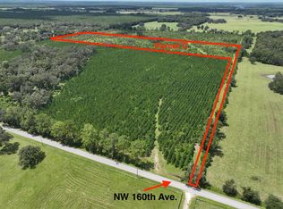 PARCEL NW 160th Ave #C, Morriston, FL 32668