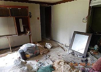 5th image of 410 Red Bud Ave