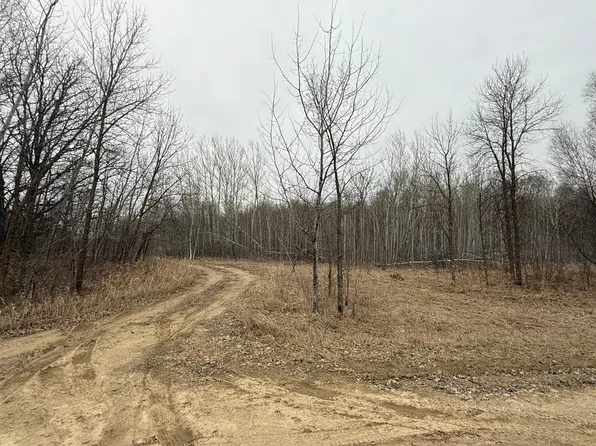 Spring Lake Rd, Detroit Lakes, MN 56501