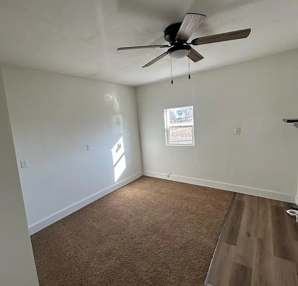 706 S Webster St — Photo 8