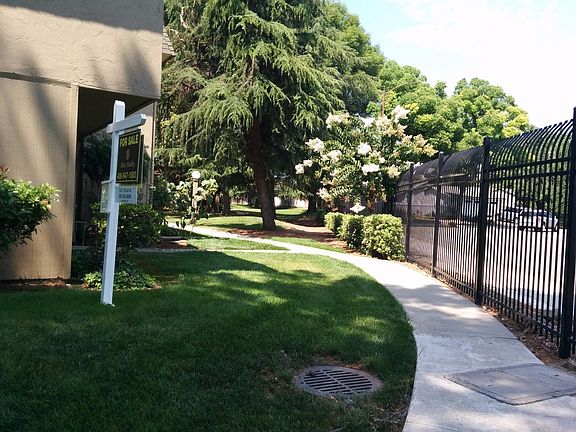 3rd image of 5379 Deodara Grove Ct