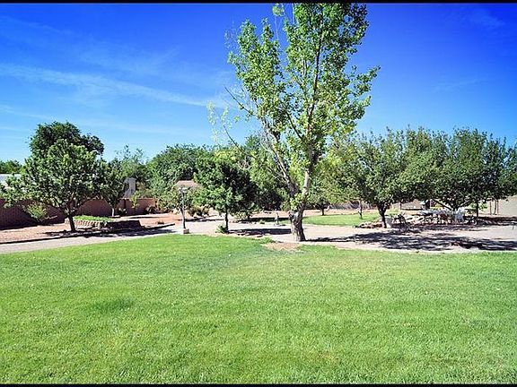 5th image of 274 Dandelion Ln
