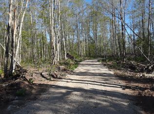 H H W 40th, Trout Lake, MI 49793