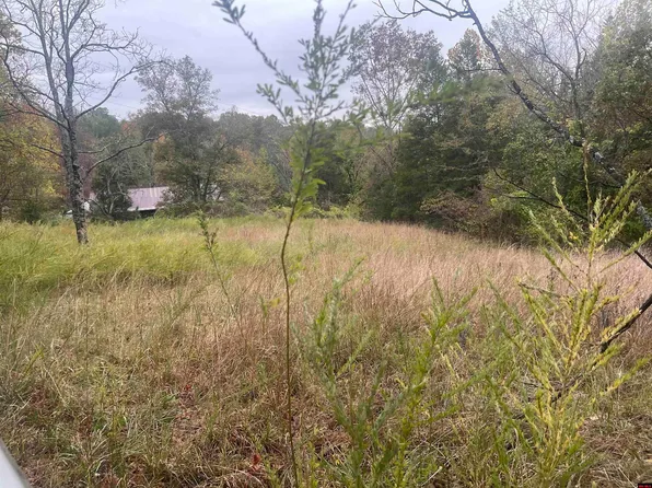 618 Driftwood Dr, Pineville, AR 72566