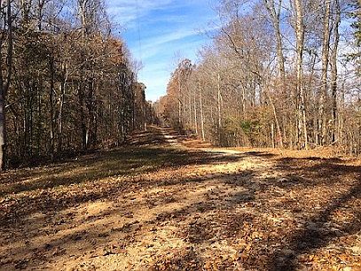 2nd image of River Bluff Ln