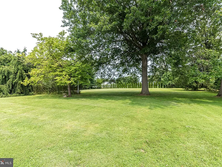 38 Chestnut Valley Dr — Photo 43