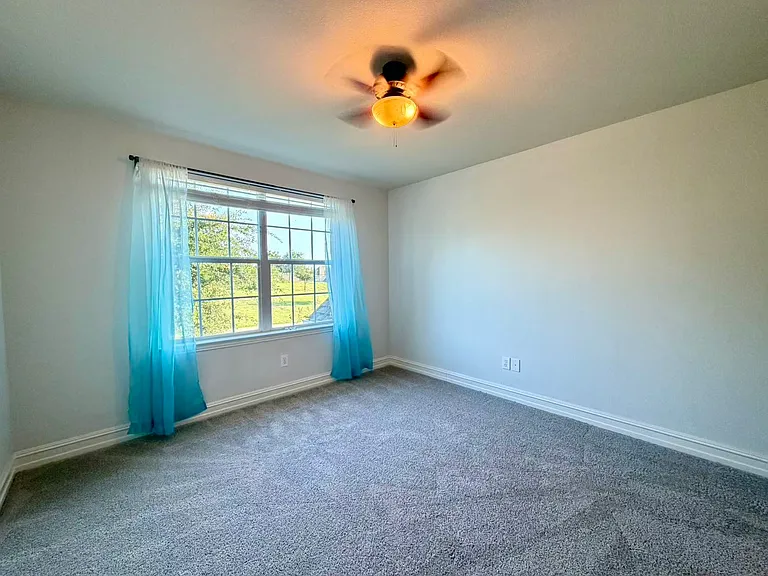 226 Boxwood Ln — Photo 22