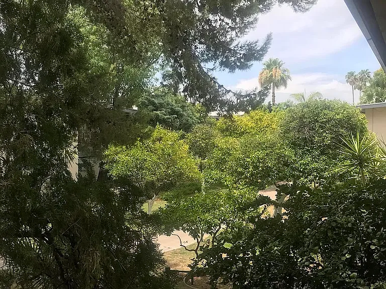 The Hibiscus Biltmore Apartments — Photo 22