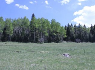 369 Lone Eagle Rd, Westcliffe, CO 81252