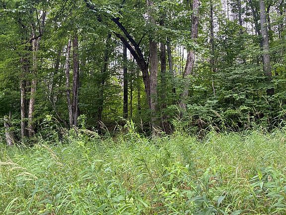 4th image of Lot 29 Auburn Road