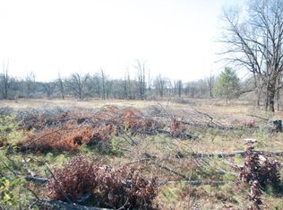 0 W Edgar Rd, Howard City, MI 49329