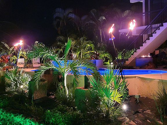 Backyard from dock
