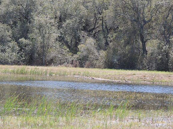 5th image of 21 Osprey Dr