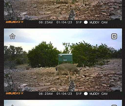 3rd image of 752 SD 46061