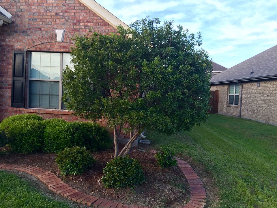 2nd image of 2113 Willow Creek Dr