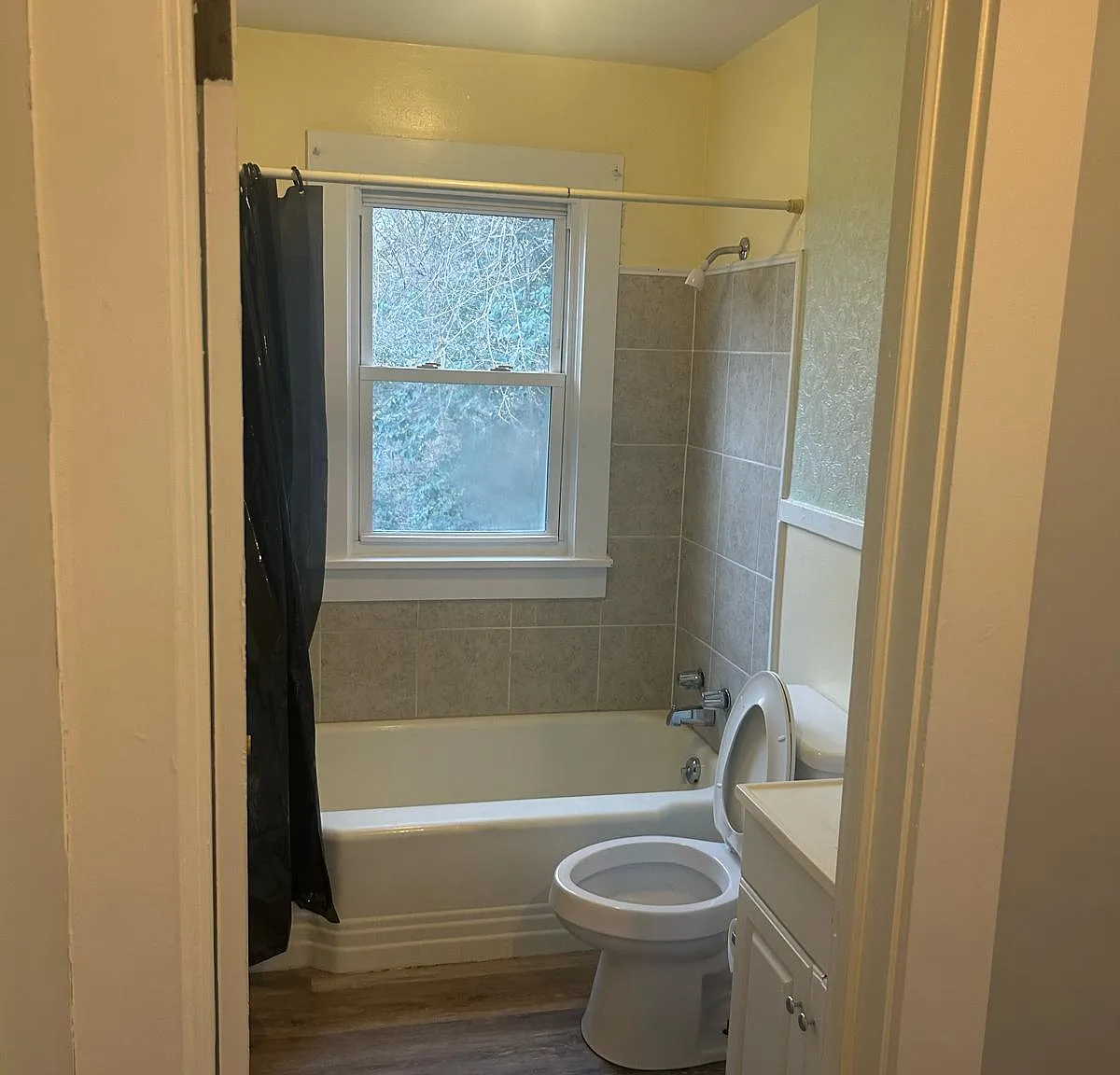 1 bed, 556 sqft, $800 — Photo 1
