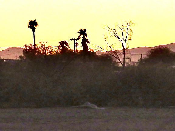 5th image of 0 W Desert Crest  St Unit 4  Lot 1 -- #1
