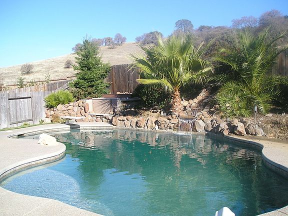 Tropical Backyard