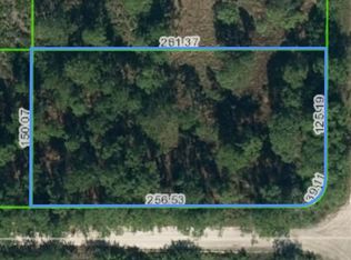 1027 Harrisburg Rd, Avon Park, FL 33825
