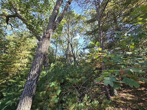 2nd image of On LEONA STREET Lot 20/21