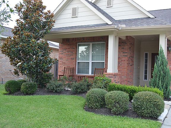 Beautiful magnolia tree 